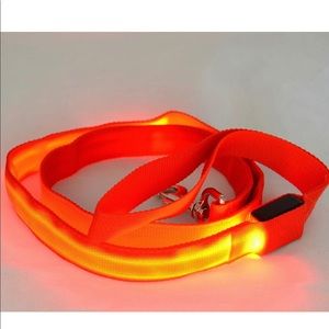 The Limiting Risk Leash- Orange